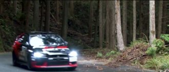 Скриншот из игры WRC 9